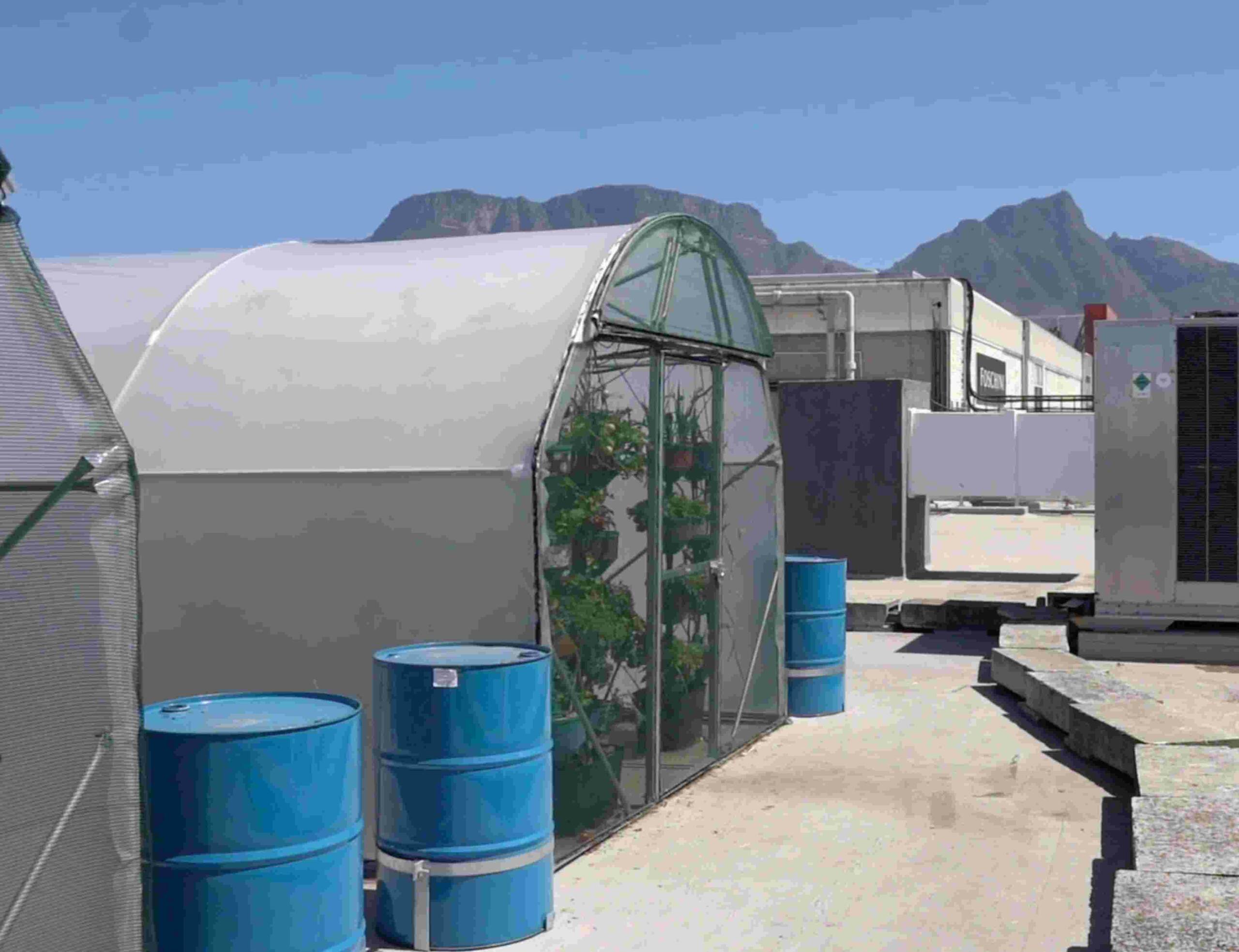 Take a tour of HandPicked rooftop farm 1